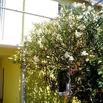 Apartamento Goga Vir
