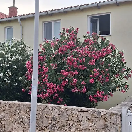 Goga Apartman