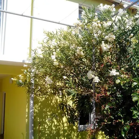 Apartman Goga Vir