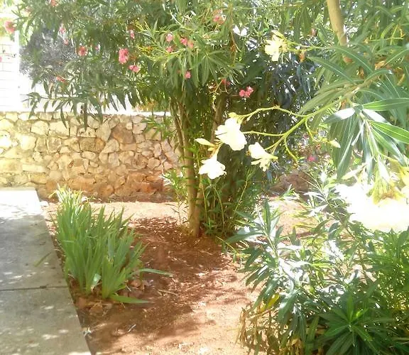 Goga Apartment Vir